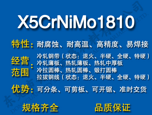 X5CrNiMo1810P