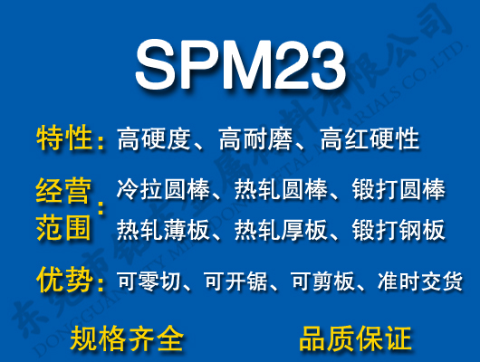 SPM23