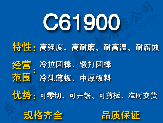 C61900X~