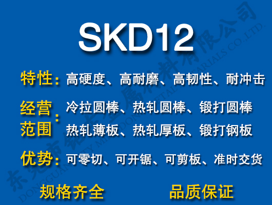 SKD12ģ