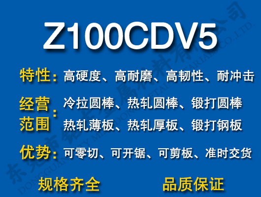 Z100CDV5ģ