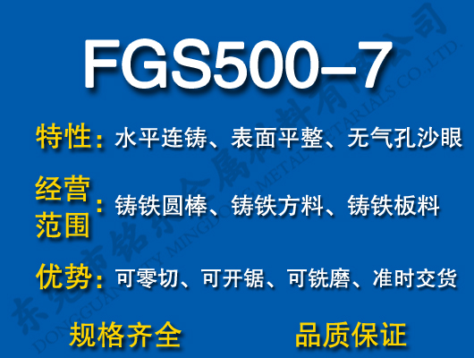 FGS500-7īTF